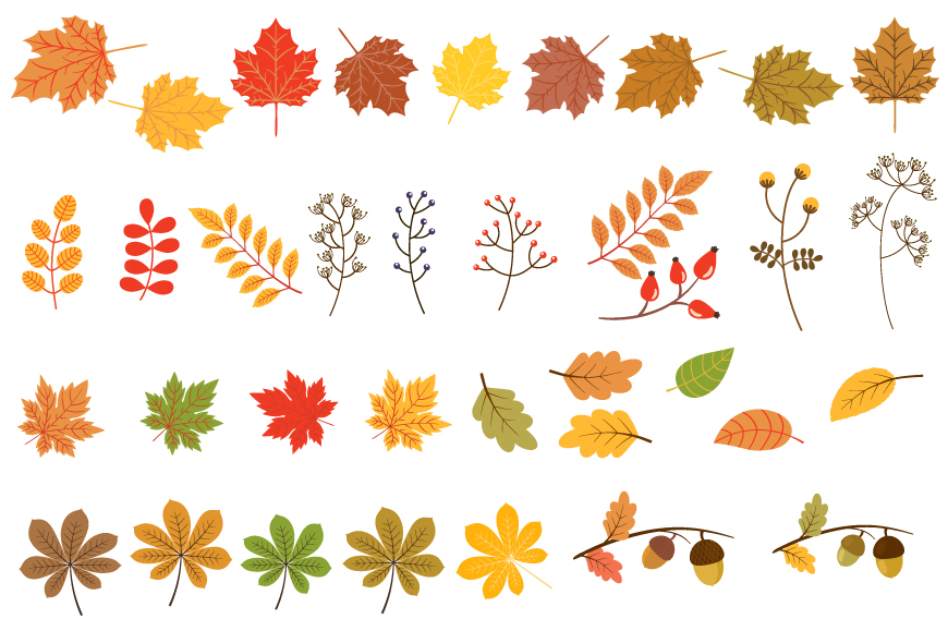 Download Autumn leaves clipart, Fall foliage clip art set (129153 ...