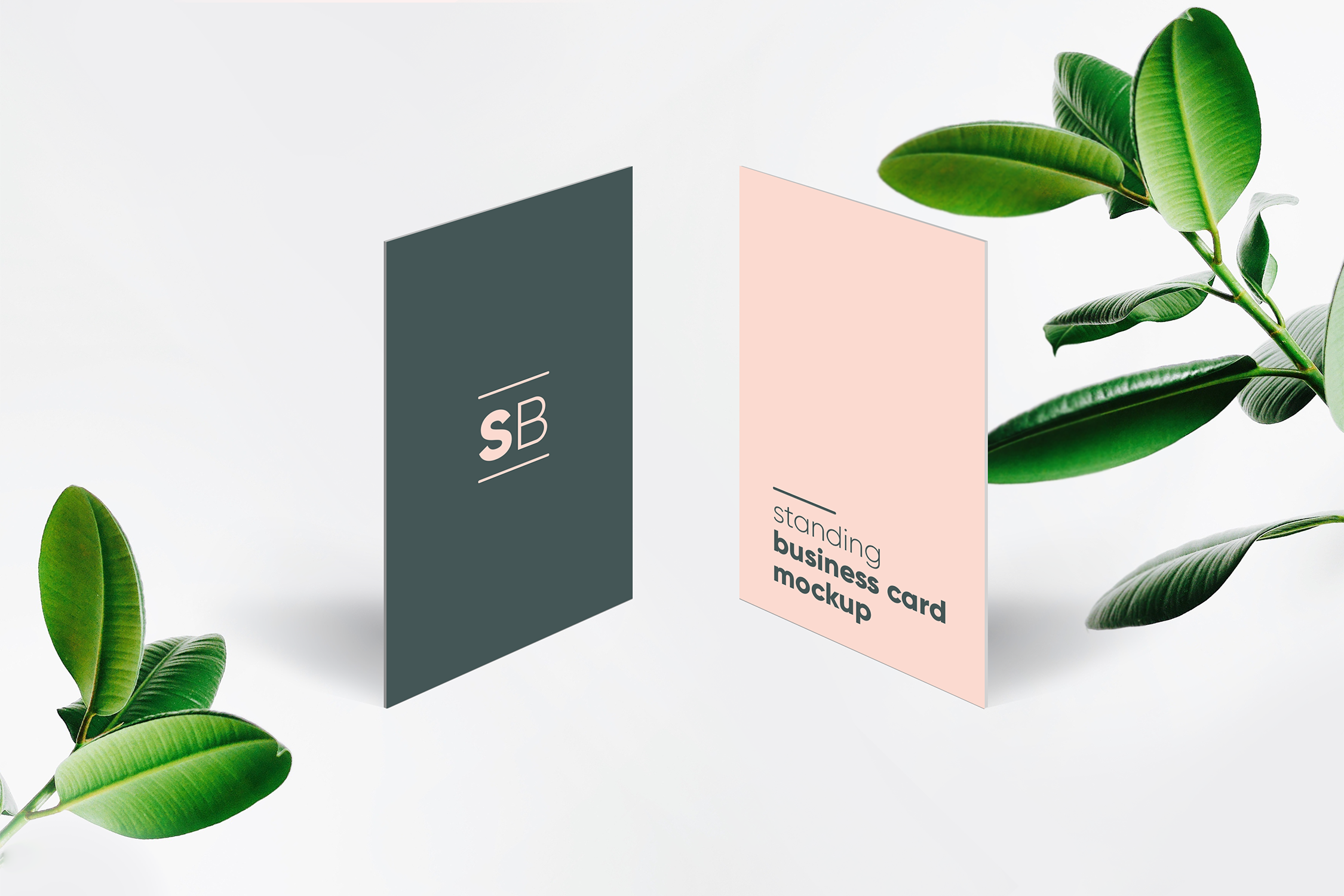 Standing Business Card Mockup