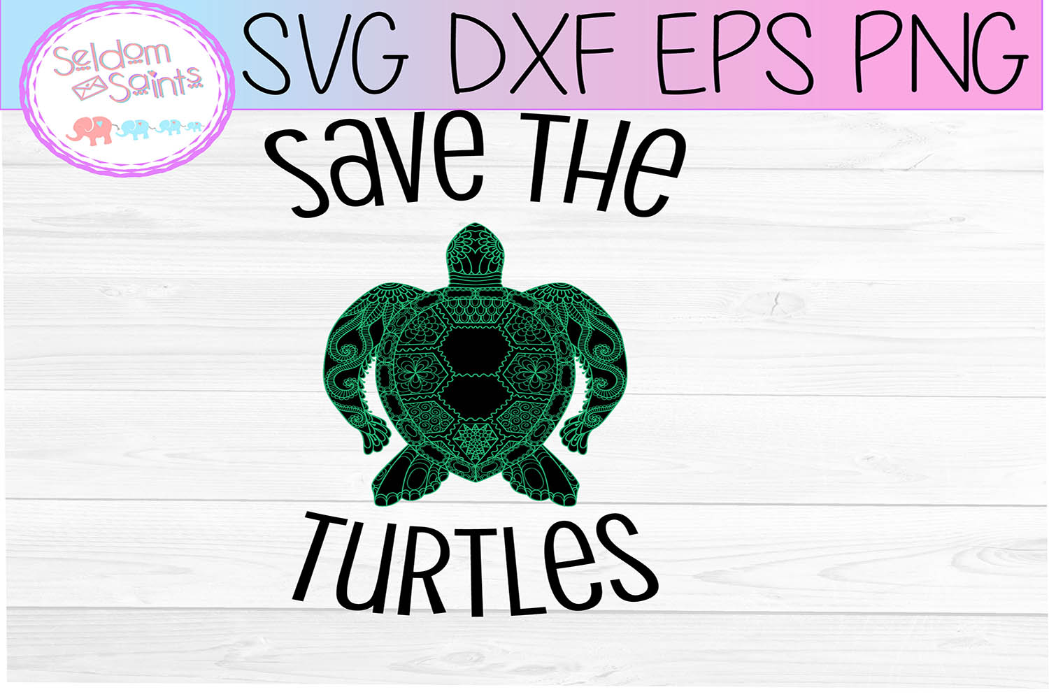 Turtle essay picture