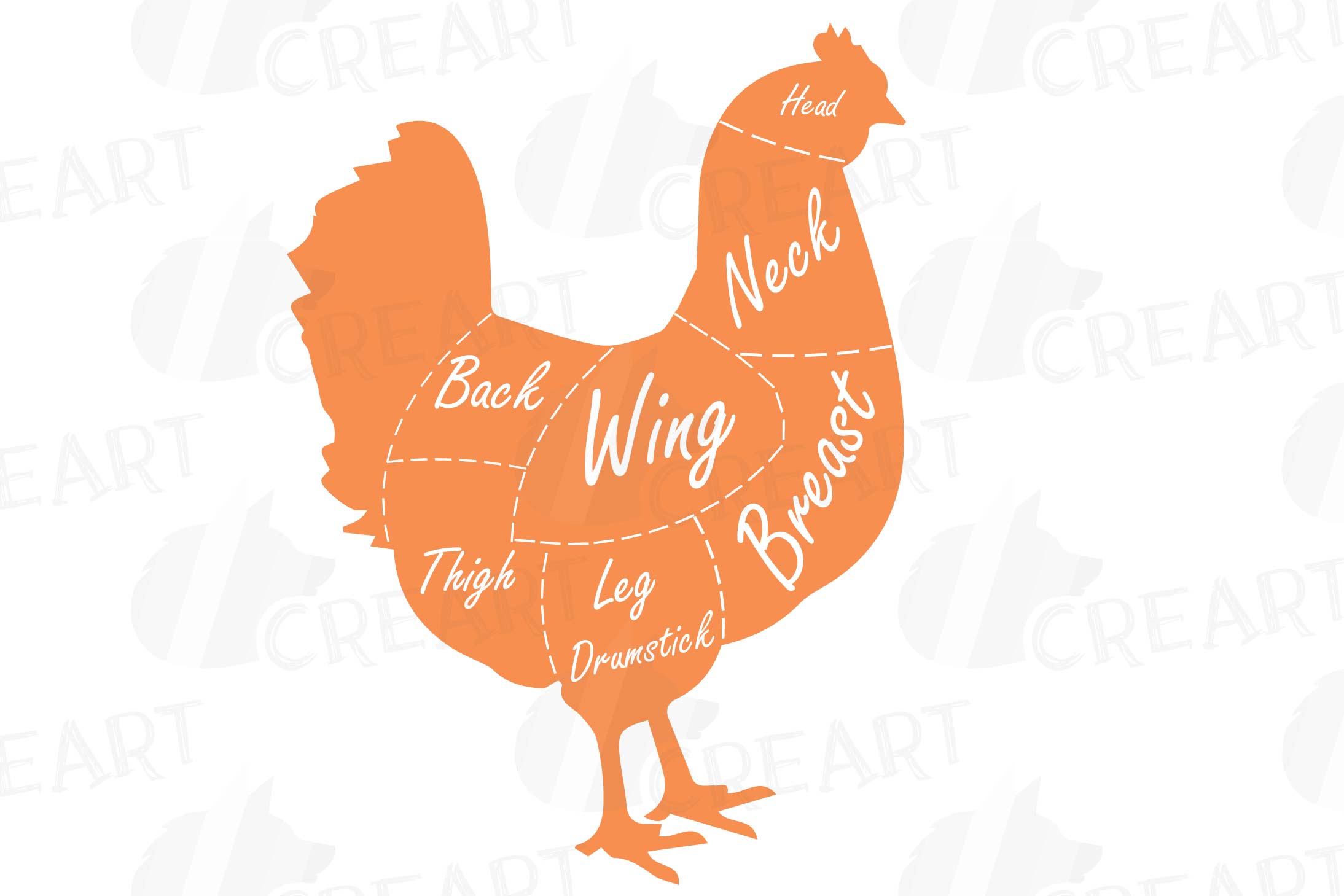 Butcher chicken diagram clip art, digital chicken chart, chi