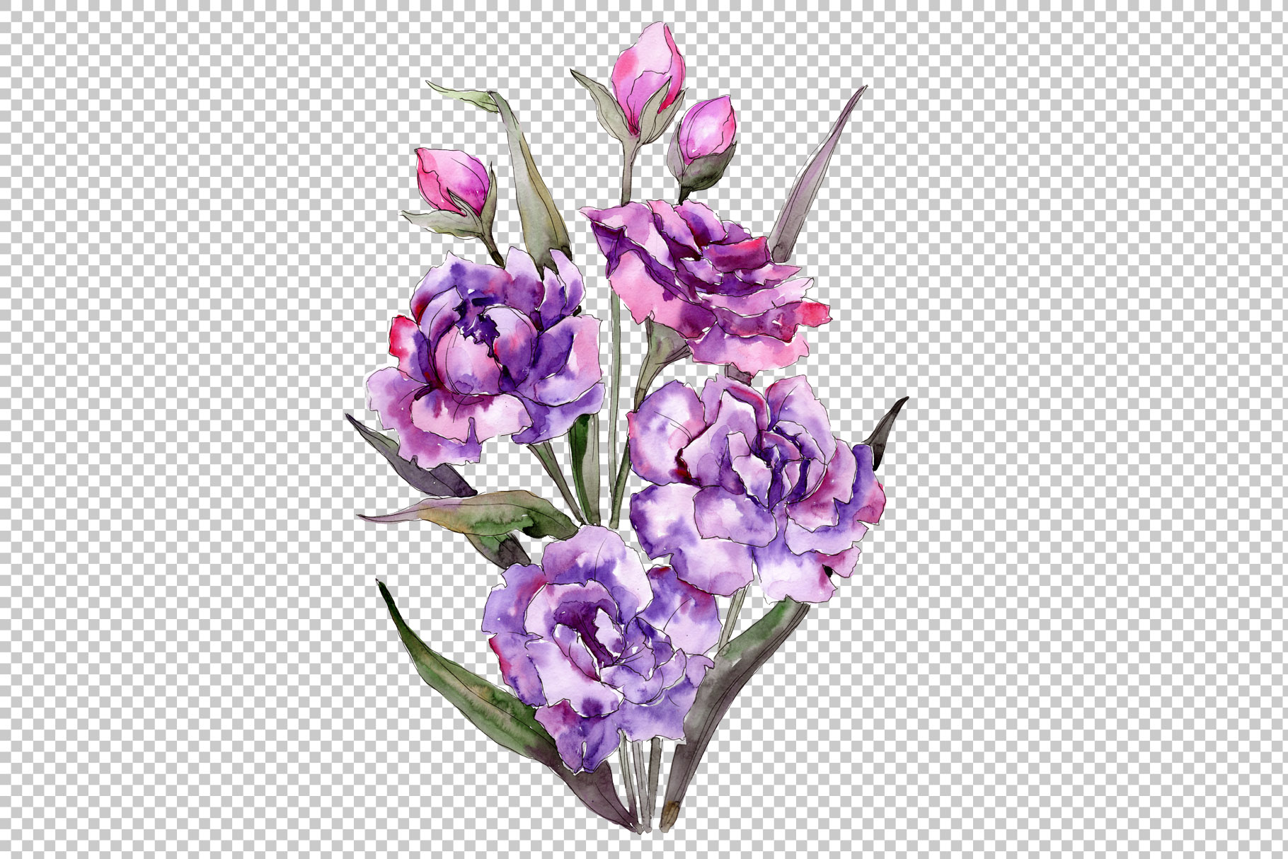 Bouquet of purple peony PNG watercolor set