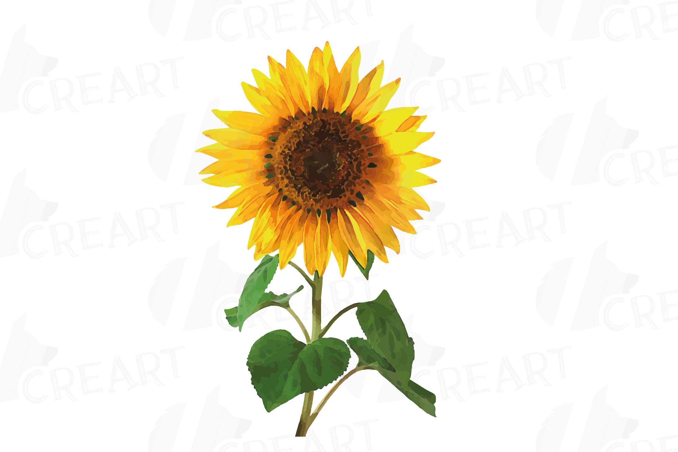 Download Sunflower watercolor clip art pack, sunflower decoration (104140) | Illustrations | Design Bundles