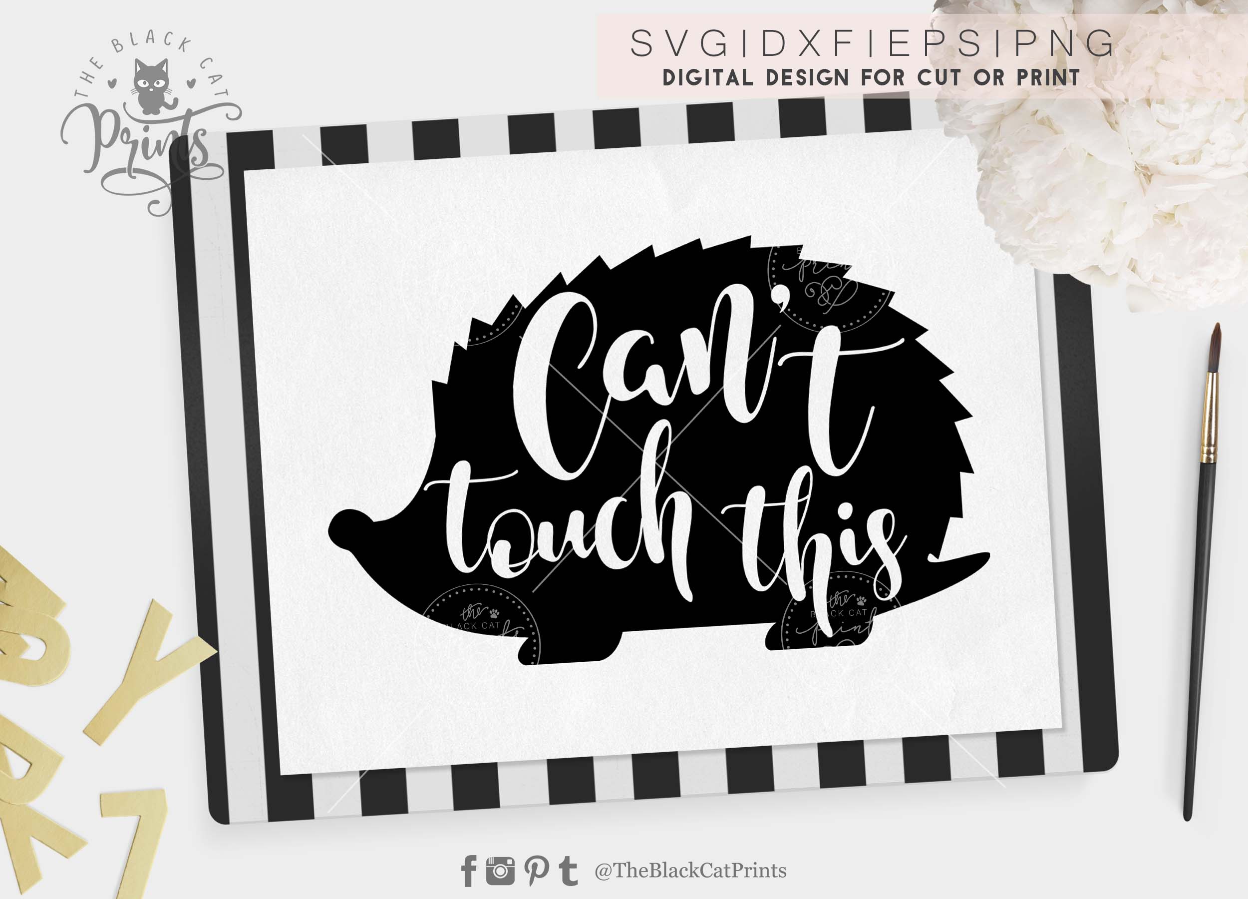 Can T Touch This Hedgehog Svg Png Eps Dxf 21674 Cut Files Design Bundles