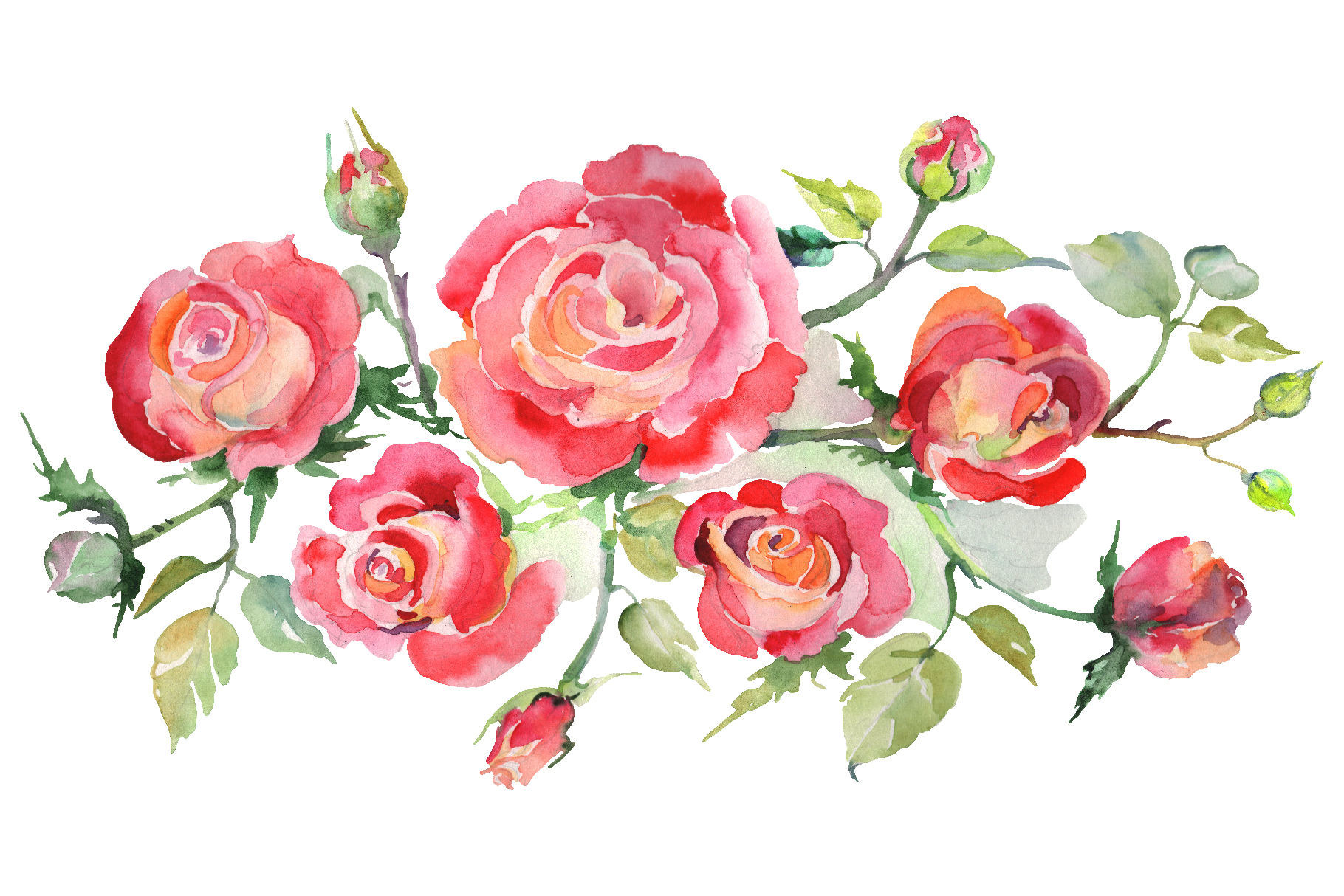 Download Bouquet with roses red Watercolor png (240063) | Illustrations | Design Bundles