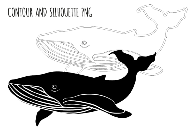 Whale svg. Humpback whale clipart