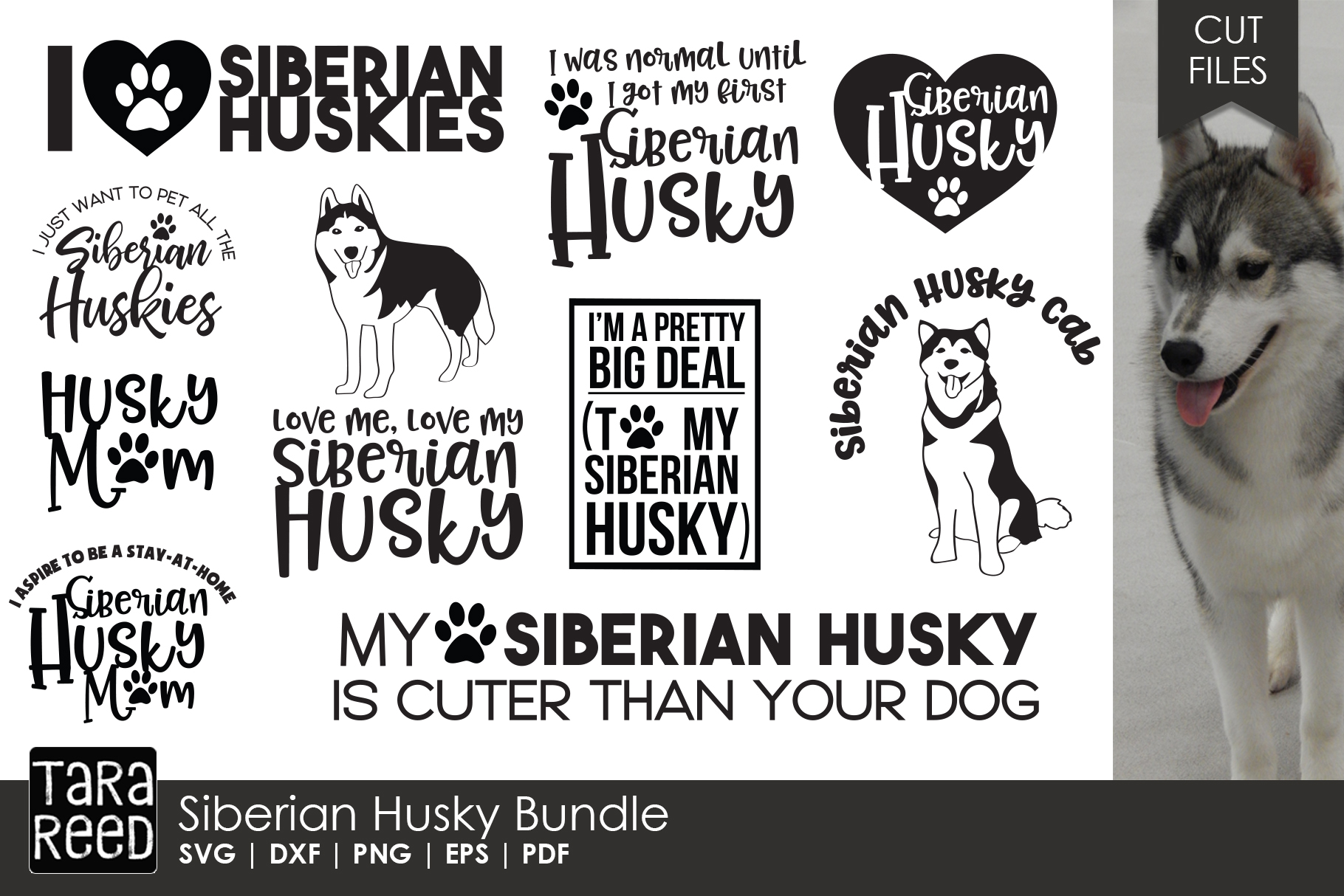 Siberian Husky - Dog Breed SVG & Cut Files for Crafters