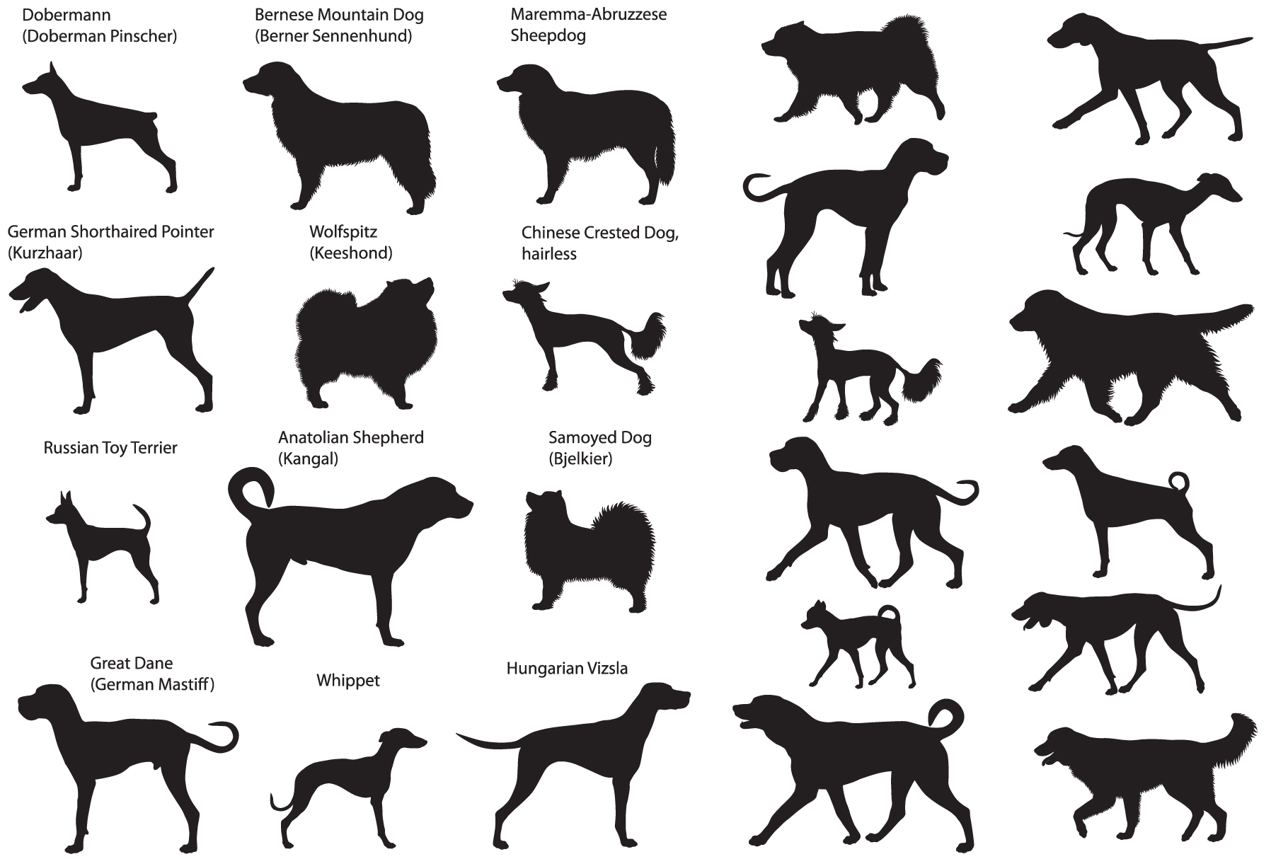 Download Dog Show Silhouettes