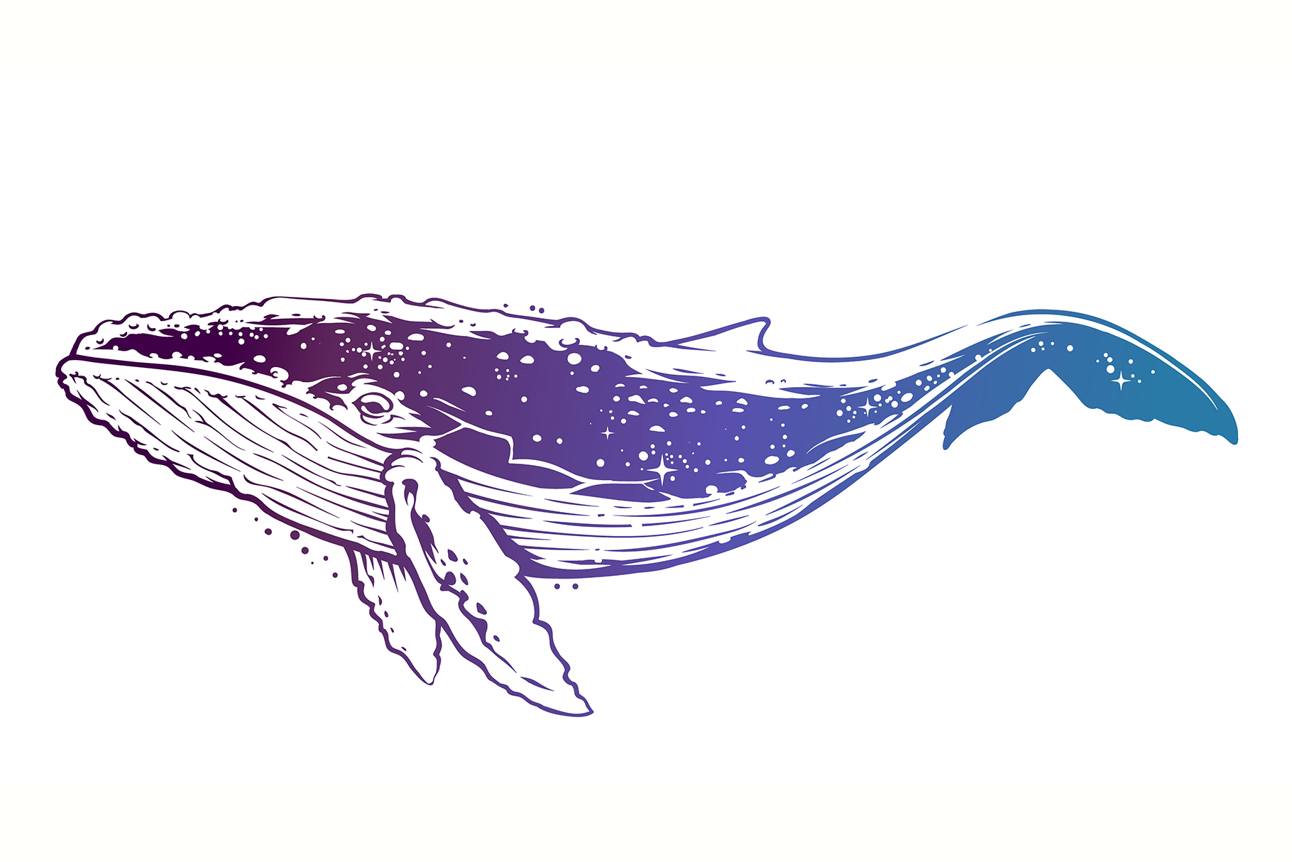 whale-vector-art