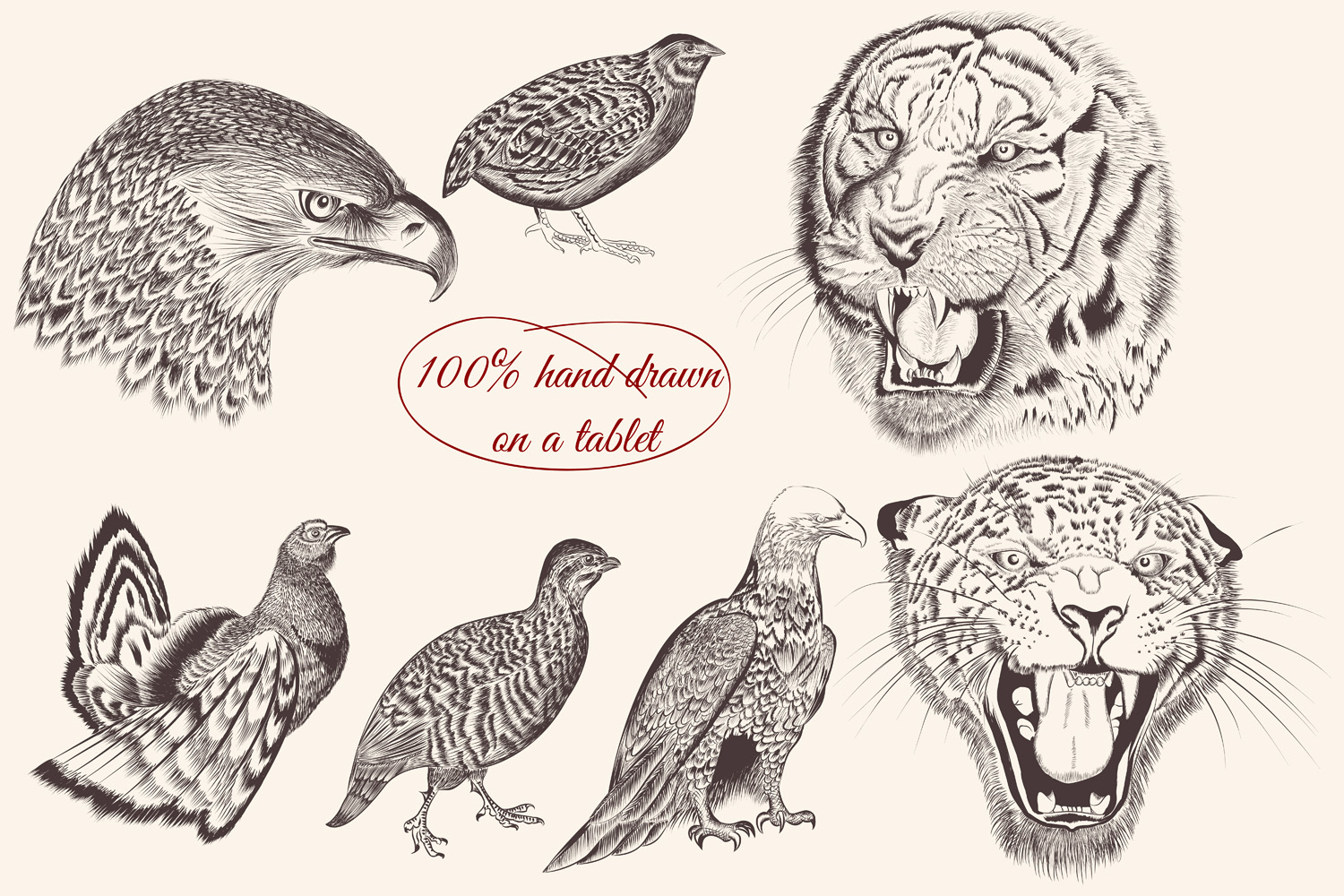 Bundle from vector engraved animals (96965) | Illustrations | Design