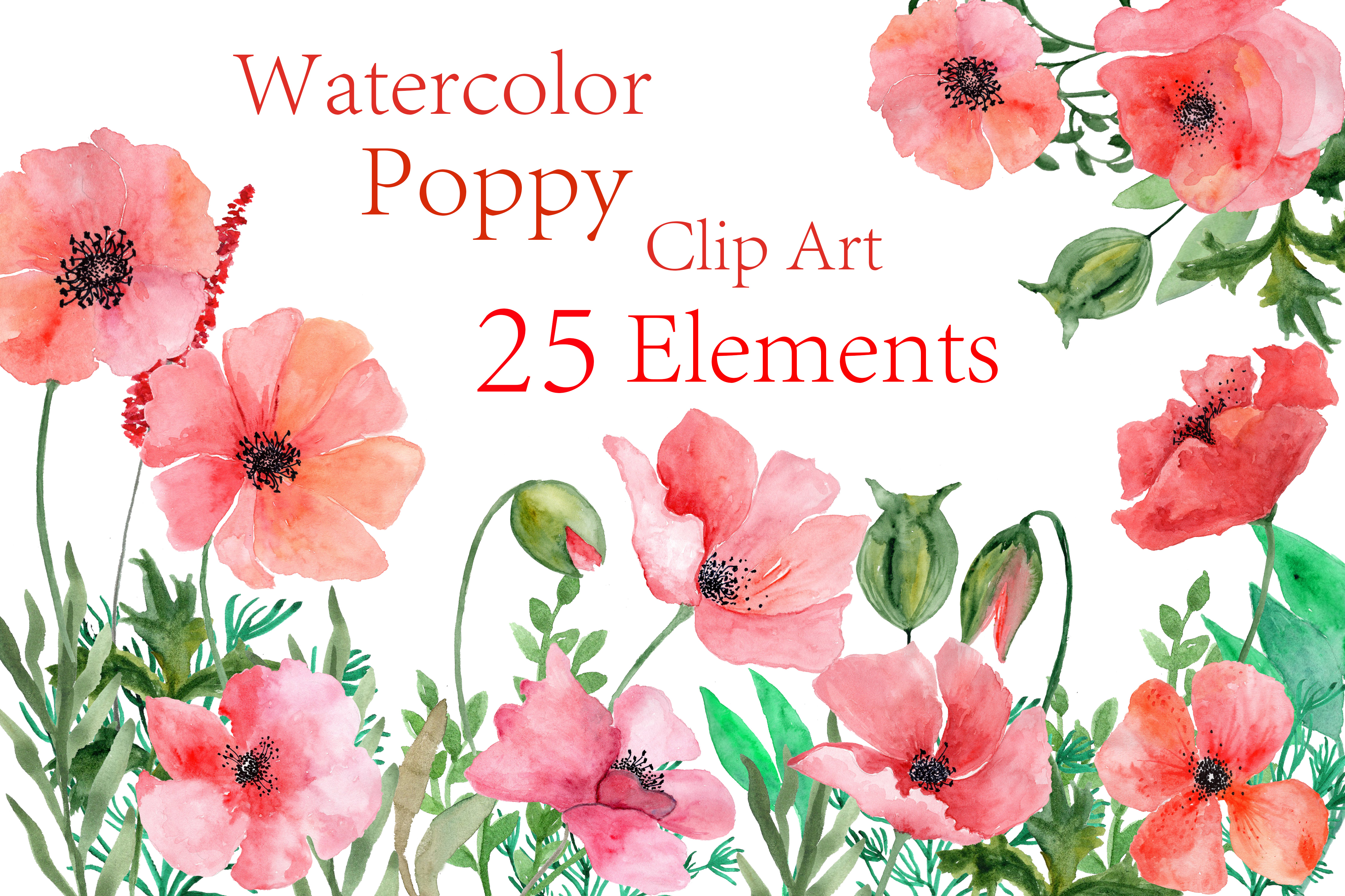 Watercolor Poppy Flowers Clipart Watercolor Poppy Flowers Clipart Example Image 1