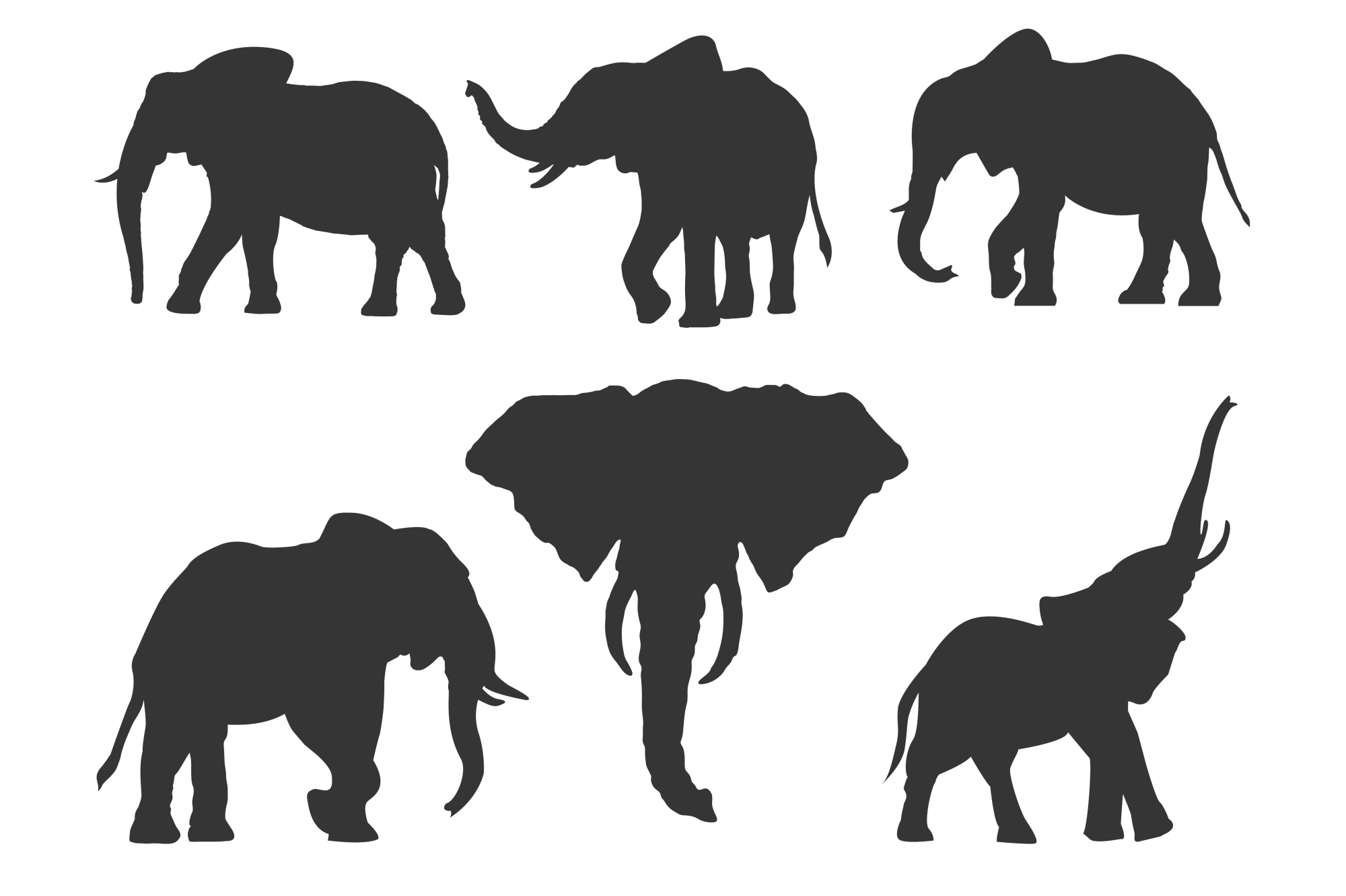 Elephant Silhouettes for Crafters (4655) | SVGs | Design Bundles