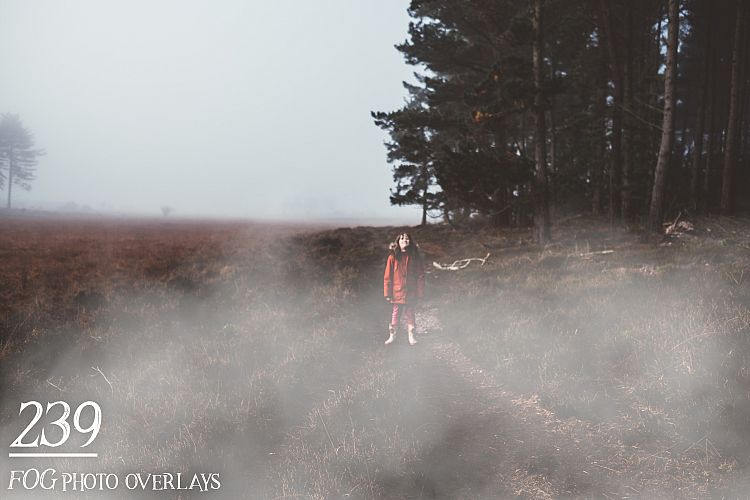 239 Fog Photo Overlays
