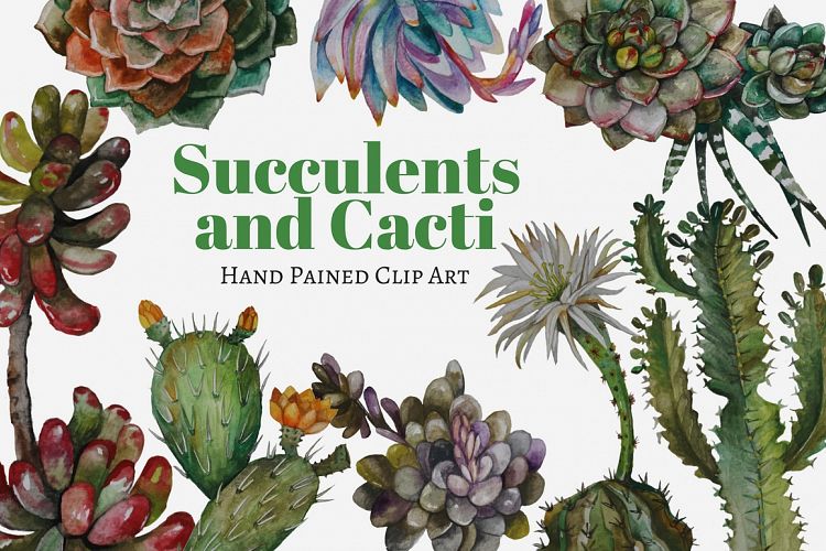Succulents and Cacti Watercolor Clip Art Set