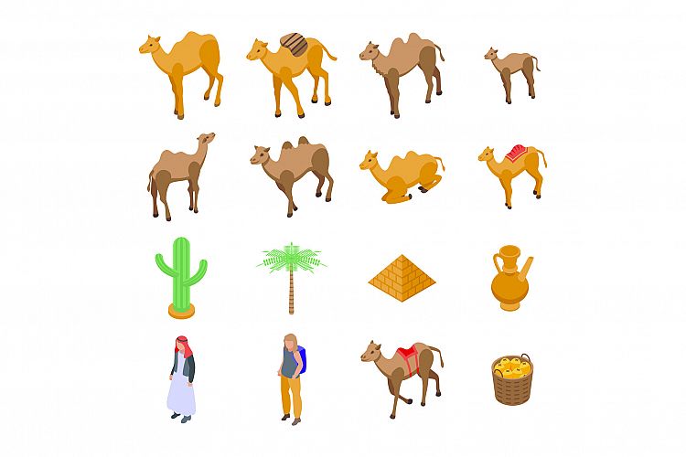 Camel icons set, isometric style example image 1