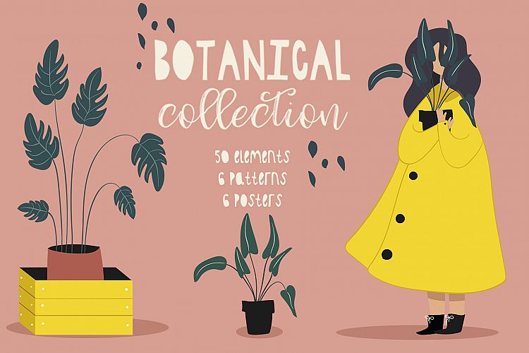 Botanical collection