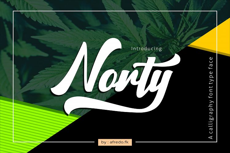 Norty