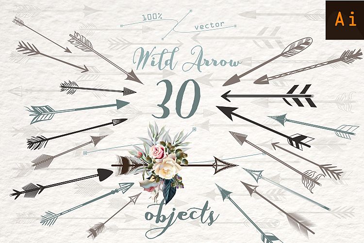 Wild arrow. Vector clipart set