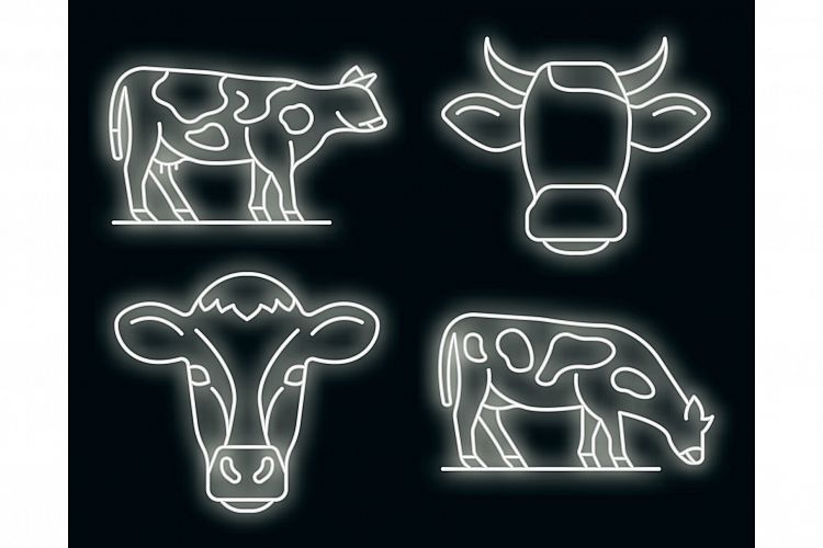 Cow icons set vector neon example image 1
