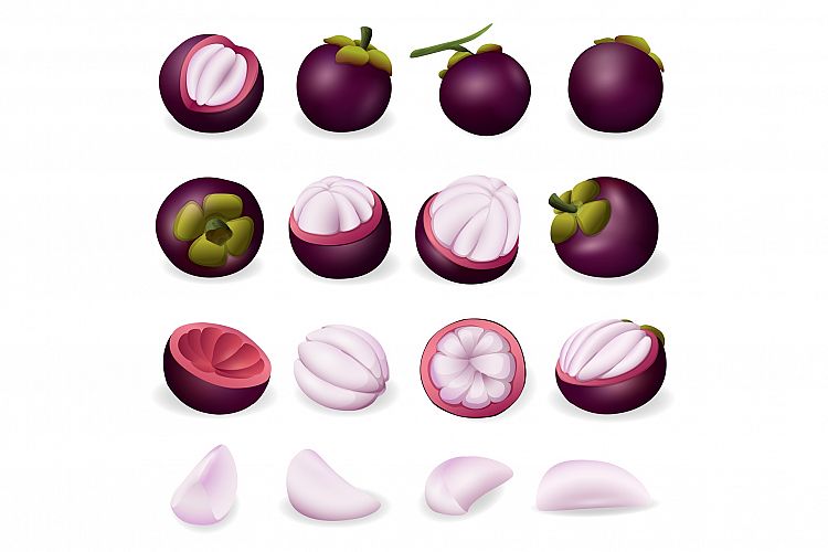 Mangosteen icon, cartoon style example image 1