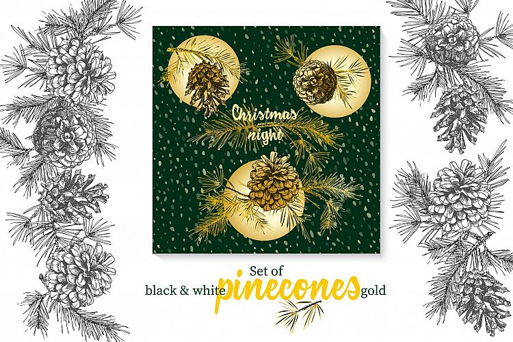 Hand drawn sketch fir with pinecones