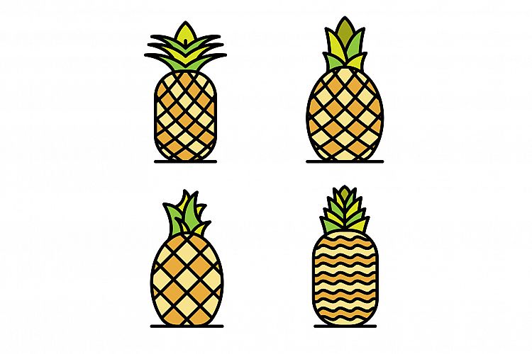 Pineapple icons set vector flat example image 1