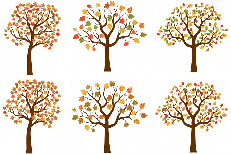 Autumn trees clipart set, Cute fall tree red yellow leaves