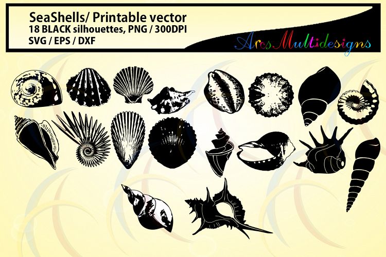 SeaShells silhouette / Sea shell /SVG / EPS / DXf vector sea shell / PNG / snails silhouette / Personal use, commercial use / High quality