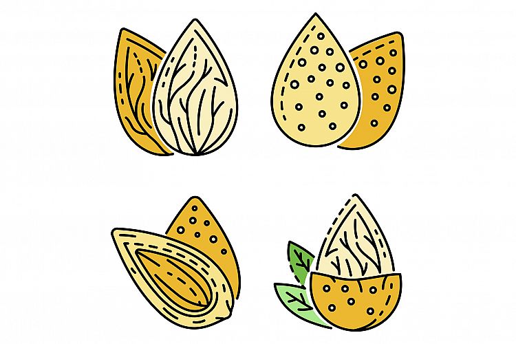 Almond icon set line color vector example image 1