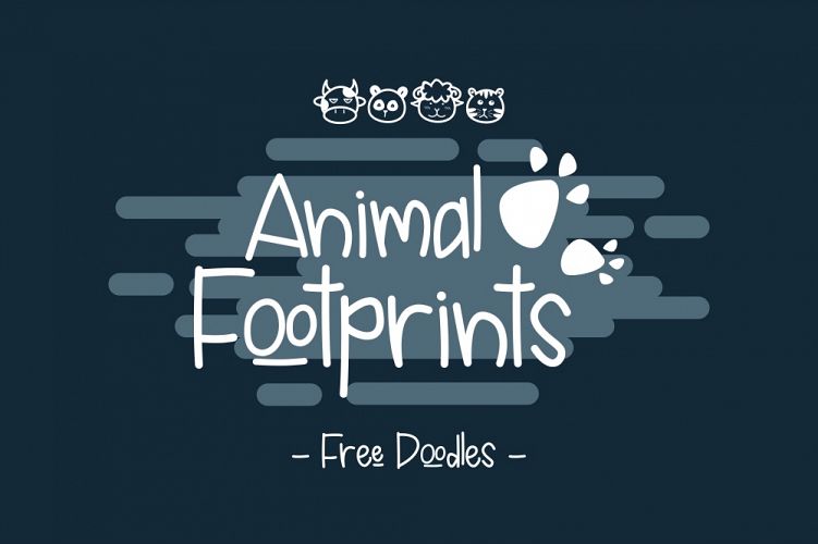 Animal Footprints