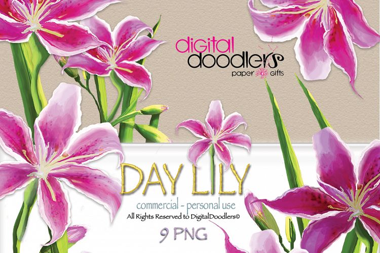 Day Lily