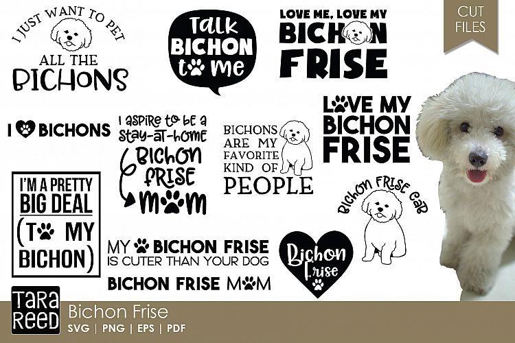 Download Bichon Frise - Dog Breed SVG and Cut Files for Crafters