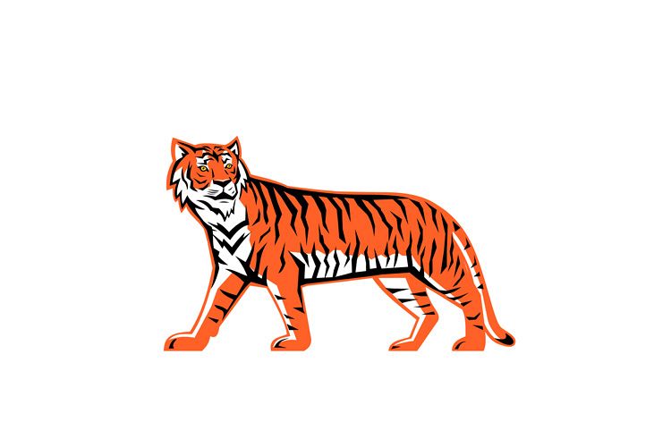 Bengal Tiger Full Body Mascot