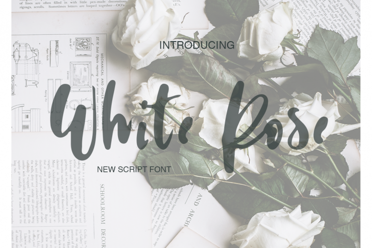 White Rose