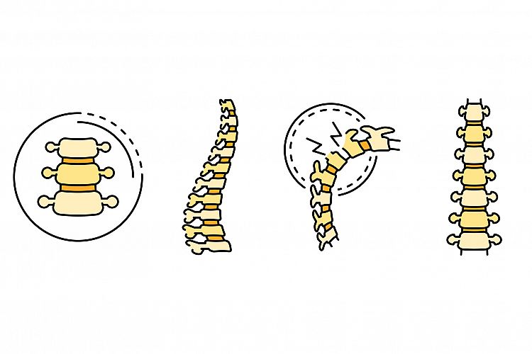 Spine icon set line color vector example image 1