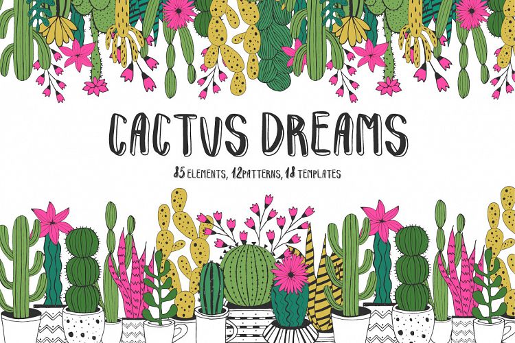 Cactus Dreams