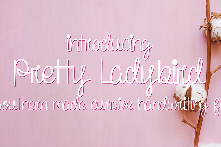 Pretty Ladybird