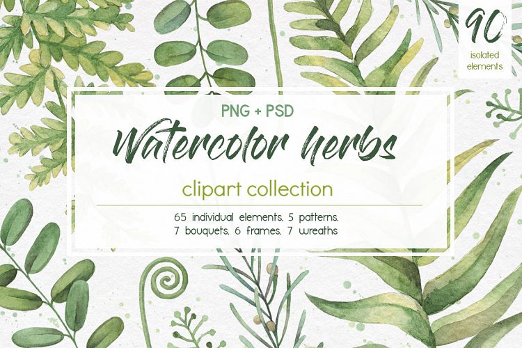 Watercolor herbs. Clipart collection