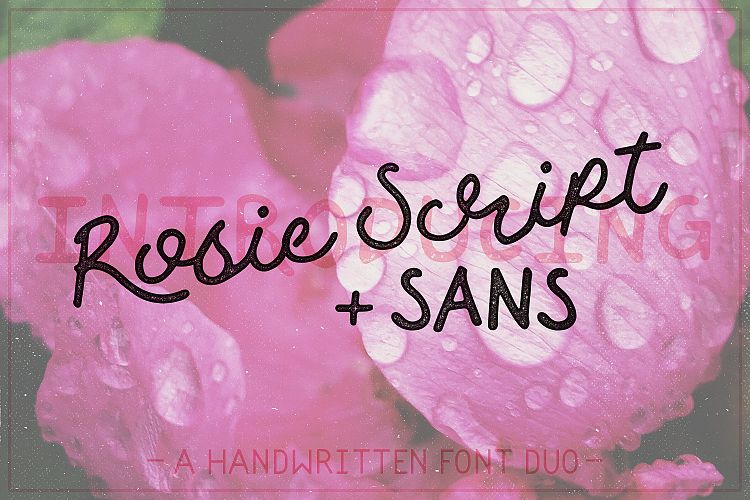 Rosie Script