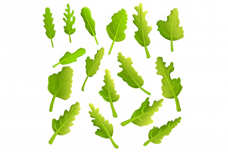 Arugula icons set, cartoon style example image 1