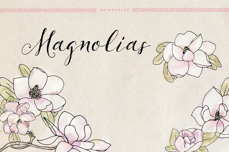 Watercolor Magnolias