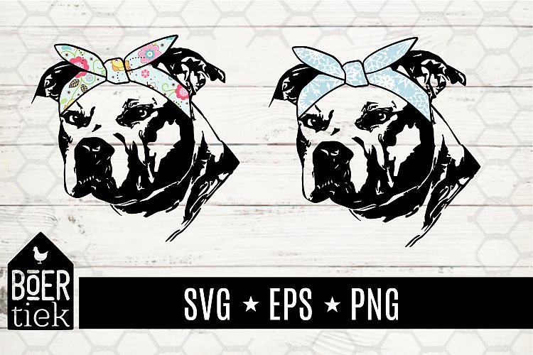 Pitbull terrier with hairbandana, cutting file (106010 ...