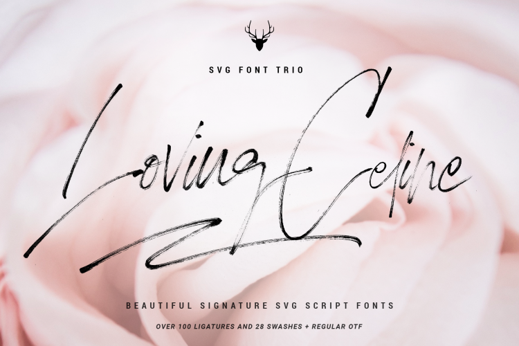 Loving Celine Signature SVG Font Trio - Modern Brush Fonts