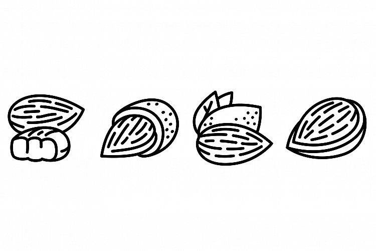 Almond icons set, outline style