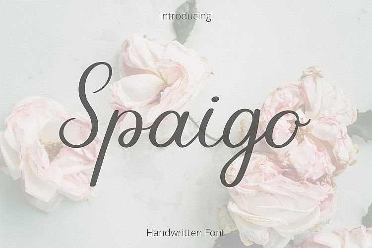 Spaigo. Handwritten script font
