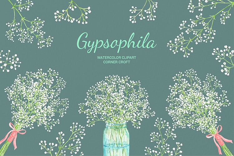 Hand painted watercolor clipart white babys breath, gypsophila
