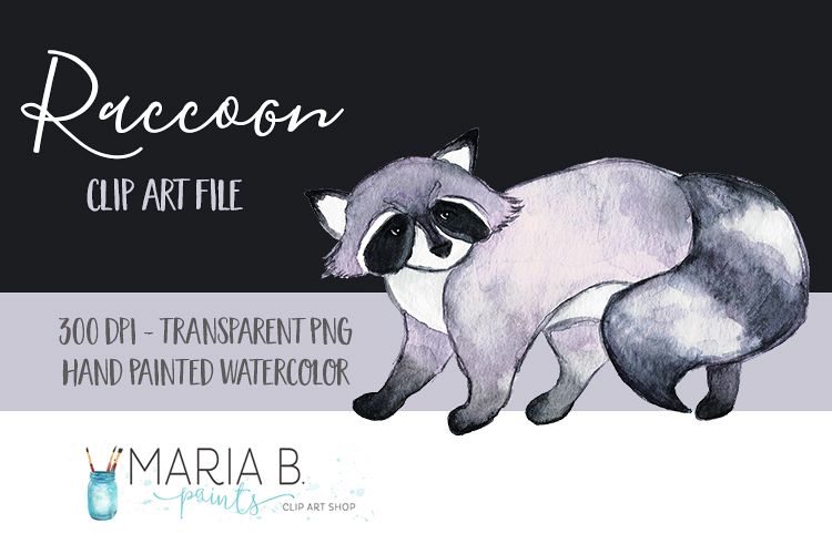 Raccoon Watercolor Clip Art PNG