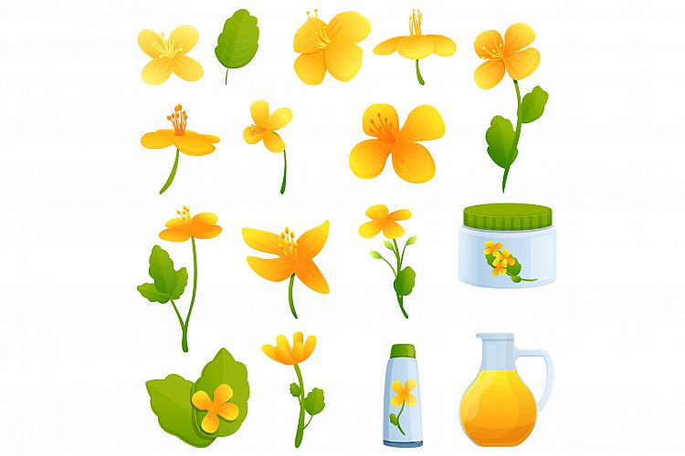 Celandine icons set, cartoon style example image 1