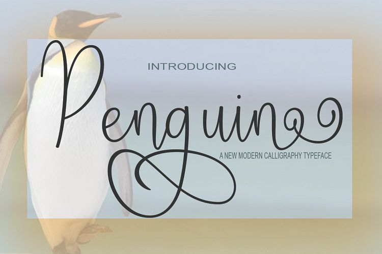 Penguin Script