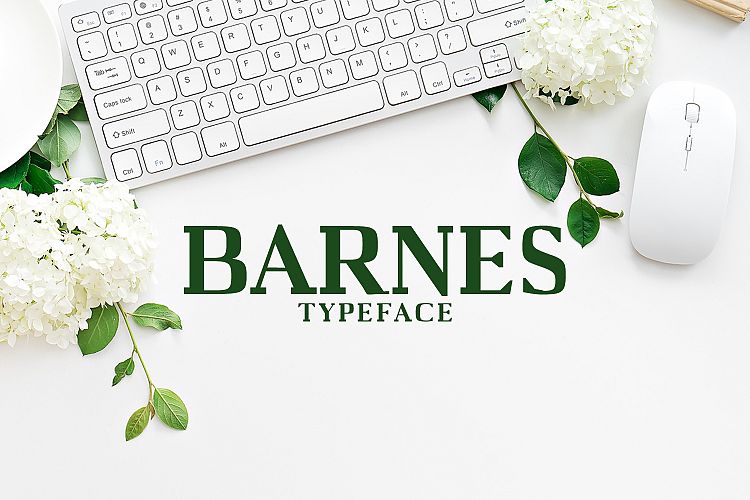 Barnes Serif Typeface