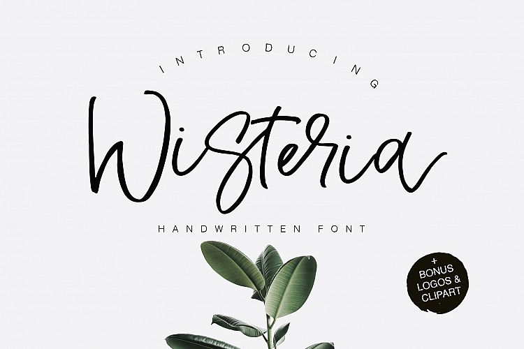 Wisteria Script